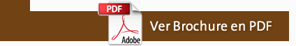 Ver Brochure PDF